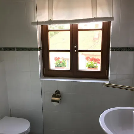 Husí Plácek Dolni Vestonice